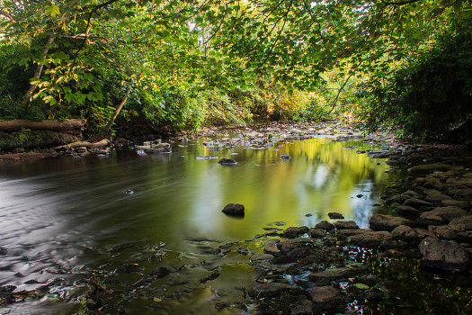 Ayrshire River © Harry Richards