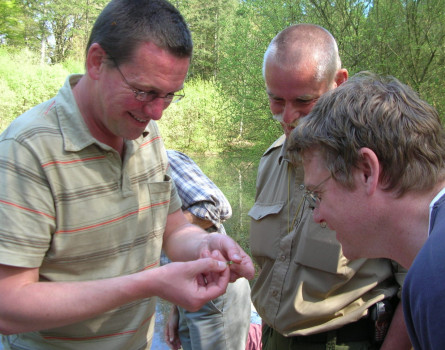 Examining newt eggs ©Kelly Hunter