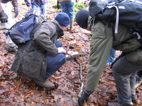 Setting small mammal traps