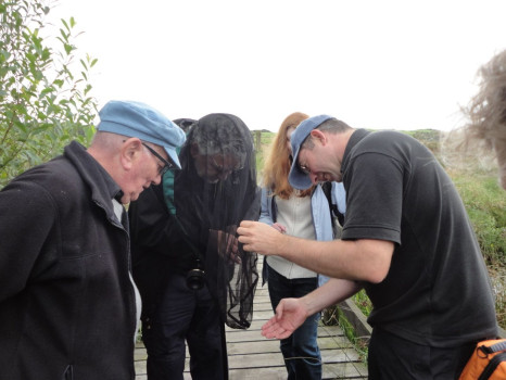 Learning how to catch and extract dragonflies ©Jim Logan