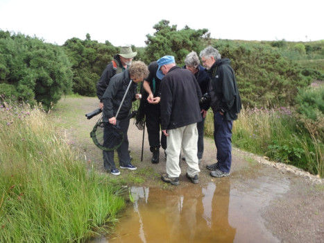 Group learning ID skills ©Jim Logan