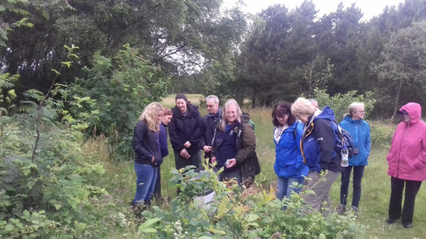 Butterfly ID Training at Gailes Marsh with Scott Donaldson © SWSEIC