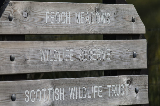 Feoch Meadows© Alan Pitkeathly