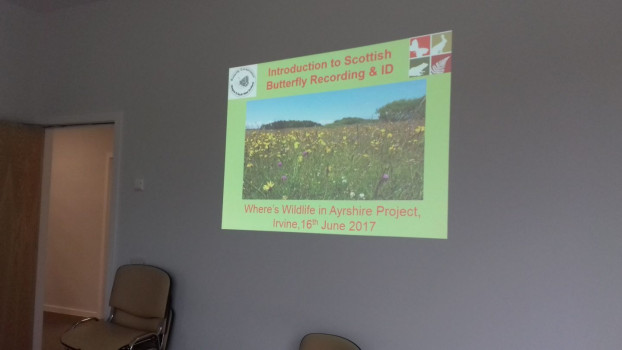 Butterfly ID training. North Ayrshire © SWSEIC