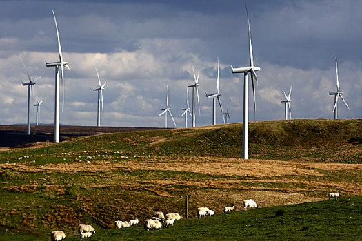 Whitelee Windfarm