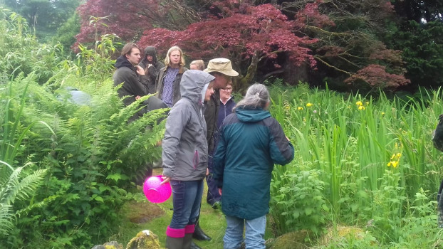 Searching for dragonflies in the garden ponds © SWSEIC