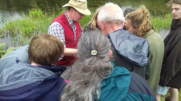 Catching and identifying larvae © SWSEIC