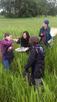 Aisling showing the group the lollipop feature on the common blue damselfly © Harry Ricahrds