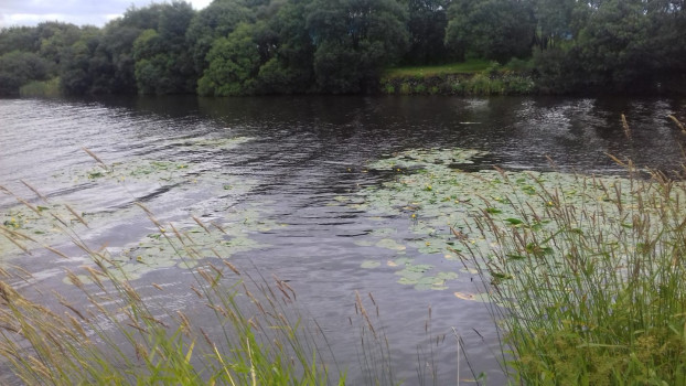 Kilbirnie Loch ©Harry Richards