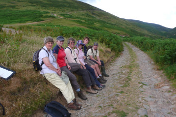 Some of Dumfries Botany group in Glenaggert 11 July © Chris Miles
