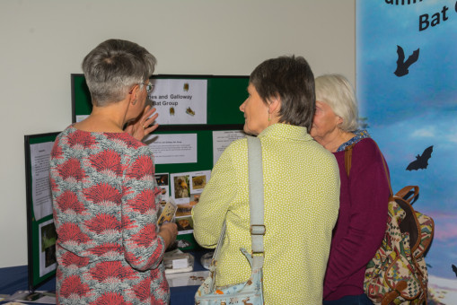 Dumfries and Galloway Bat Group stand at the SWSEIC conference 2019