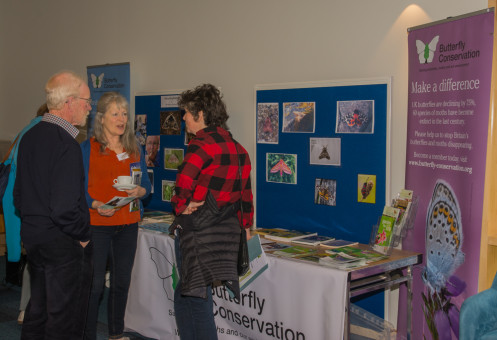 Butterfly Conservation stand at the SWSEIC conference 2019