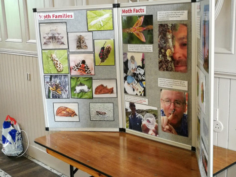 Moth display at St. John's Town of Dalry