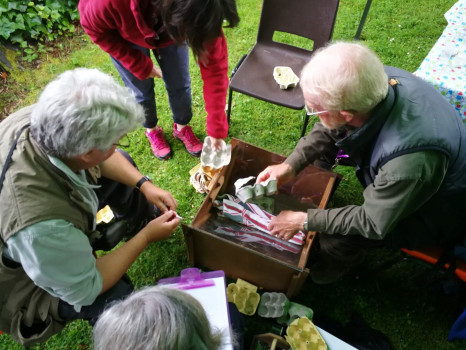 Emptying moth traps at St John's Town of Dalry