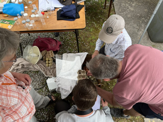 Moth trapping at Kirkgunzeon July 2023