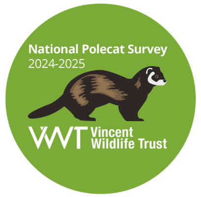 Polecat Survey logo