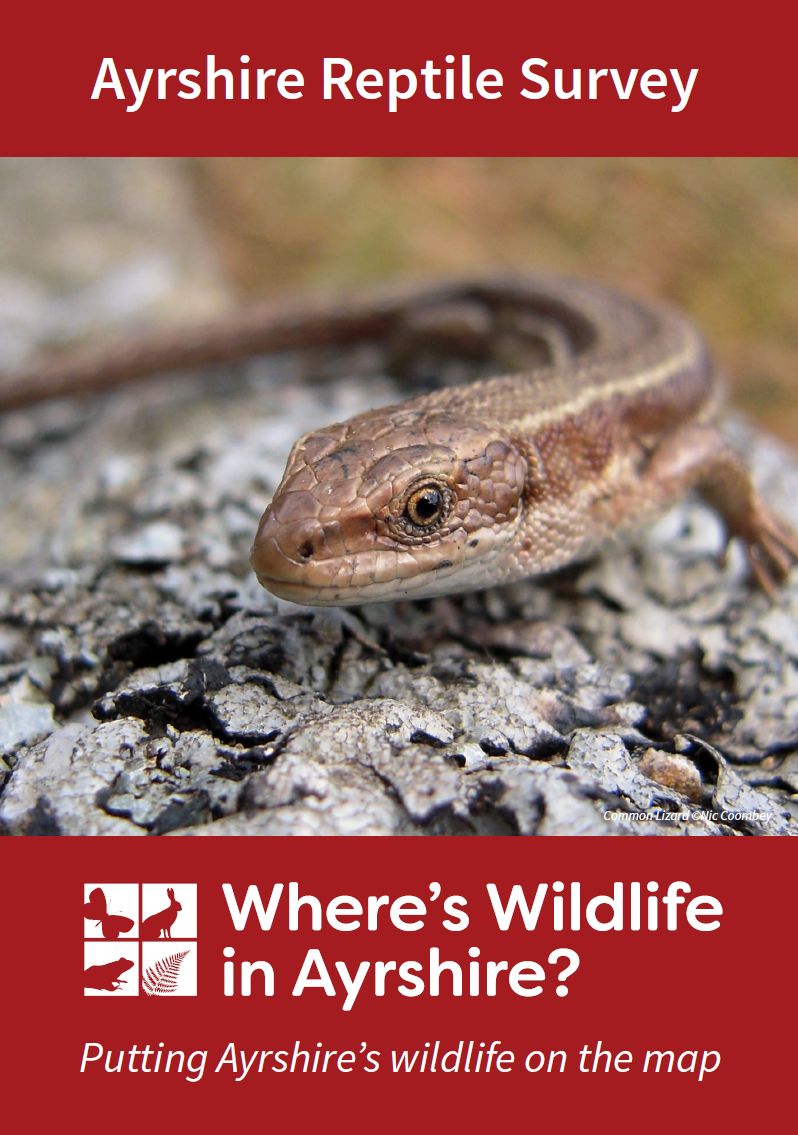 Ayrshire Reptile Survey SWSEIC