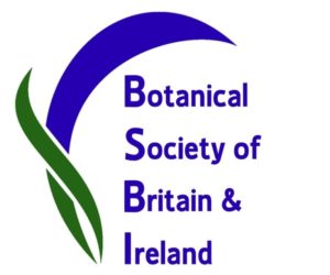 BSBI logo