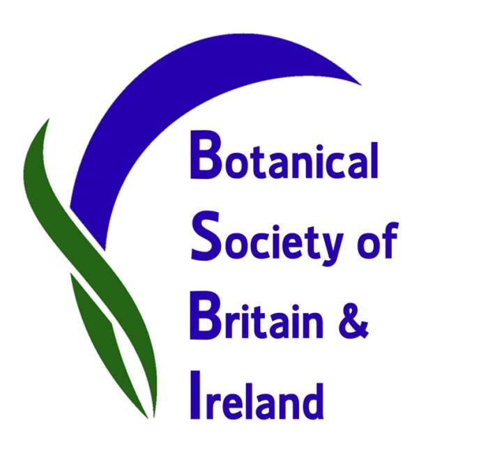 BSBI logo