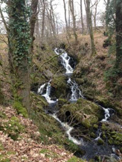 Waterfall on Pultarsan Burn ©Jan Davidson