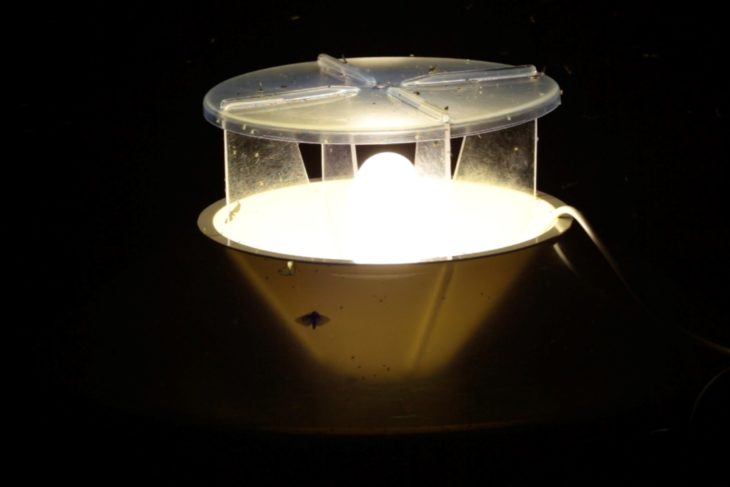 Robinson Moth Trap ©Mike Bolam