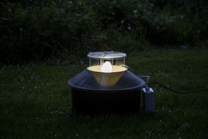 Robinson Moth Trap ©Mike Bolam