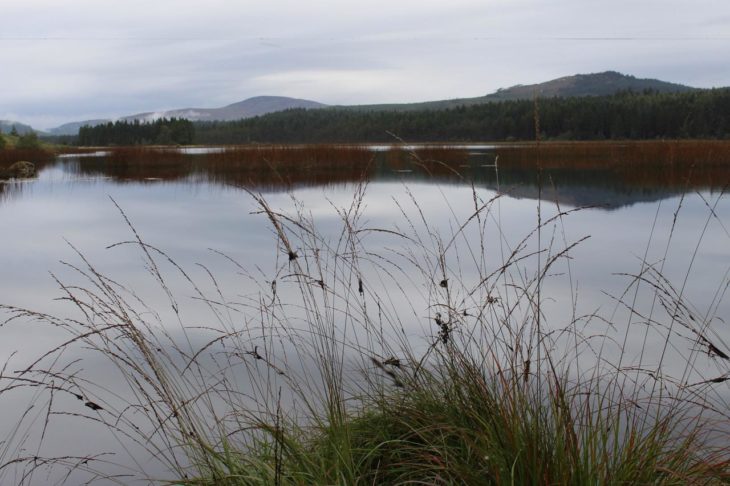 Loch Stroan ©Thoe Stanning