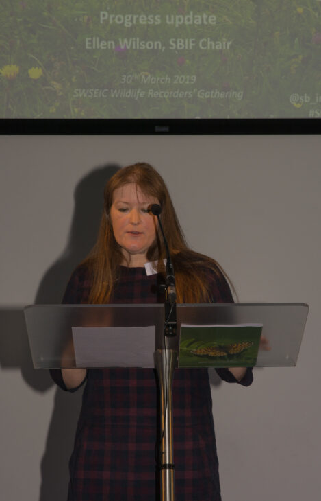 Ellen Wilson speaking at the SWSEIC Conference 2019
