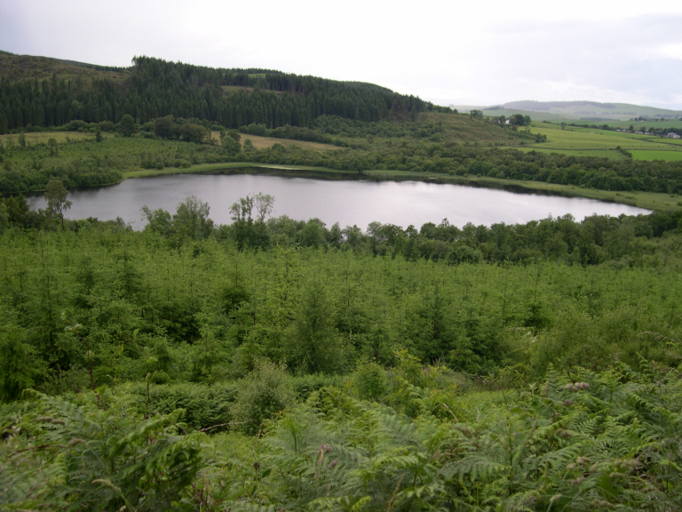 Site of the Month Mabie Forest (May 2023) SWSEIC