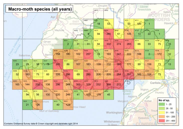 Macro-moth species richness 2014