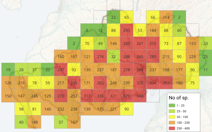 Macro-moth species richness map