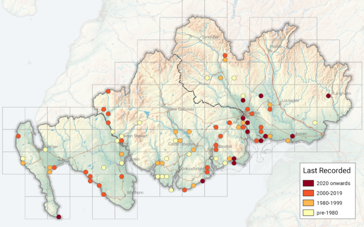 Mouse Moth records map