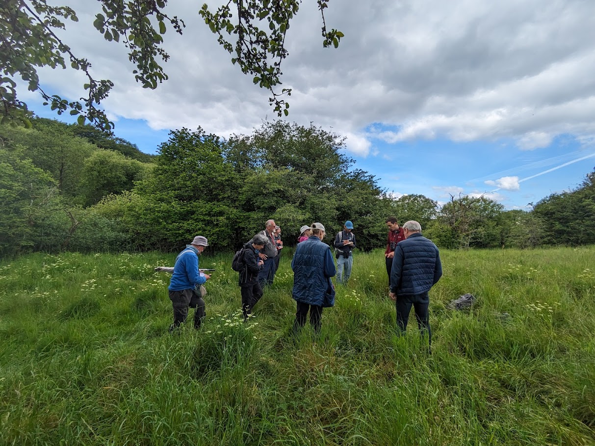 Kirkcudbrightshire Botany Group at Ken Dee, 1st June 2024 - SWSEIC